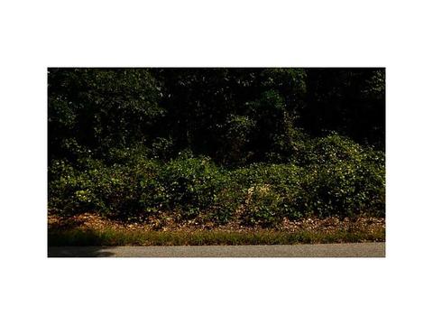 12 Pound Rd, Westerly, RI 02891 photo 1