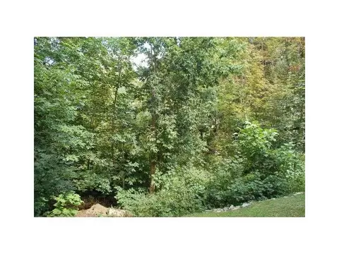 61 Pelletier Ave, Woonsocket, RI 02895 photo 5