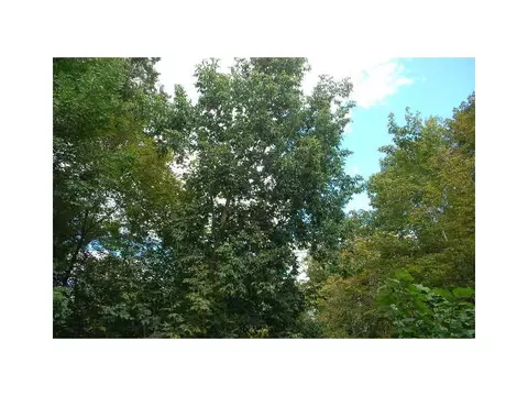 61 Pelletier Ave, Woonsocket, RI 02895 photo 6