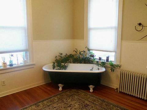 33 Elm St, Westerly, RI 02891 photo 5