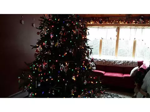 590 Maureen Cir, Mapleville, RI 02839 photo 6