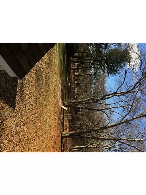 9 S County Trl, Exeter, RI 02822 photo 5
