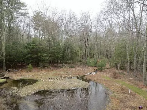 28 Spring Grove Rd, Glocester, RI 02814 photo 5
