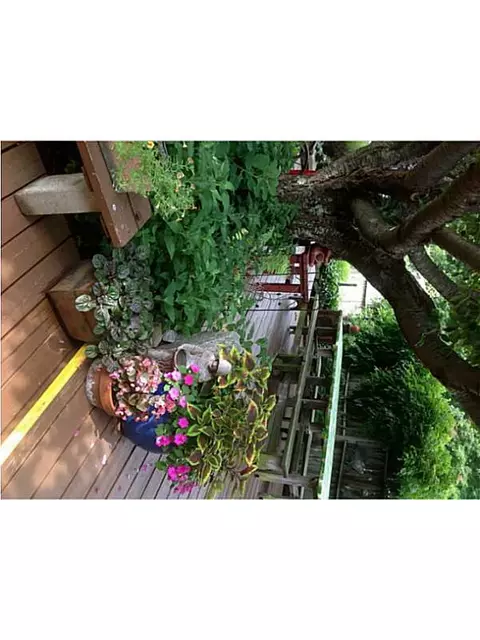 7 A St, Douglas, MA 01516 photo 23