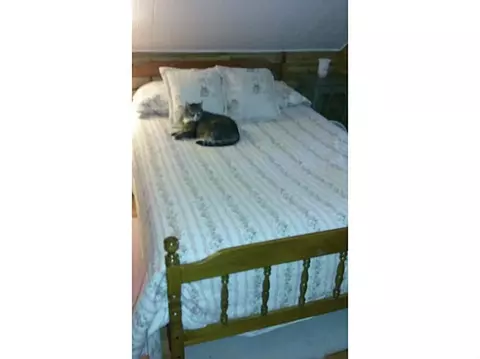 347 Mowry St, Woonsocket, RI 02895 photo 10