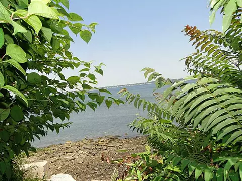 177 Winter Ave, Warwick, RI 02889 photo 21