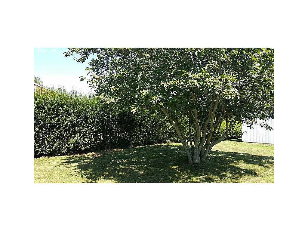 6 Shirley Dr, Westerly, RI 02891 photo 3