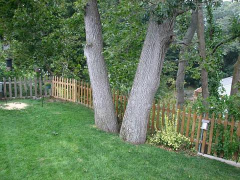 19 Calhoun Ave, Warwick, RI 02886 photo 16