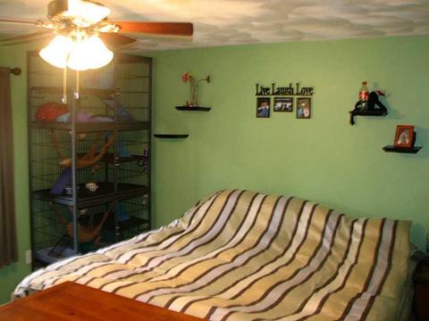 19 Calhoun Ave, Warwick, RI 02886 photo 7