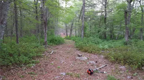 89 Sodom Trl, Exeter, RI 02822 photo 3