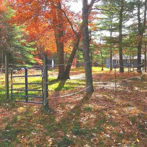 121 Killingly Rd, Foster, RI 02825 photo 4