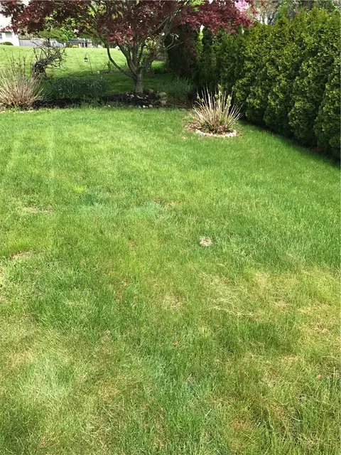 6 Matthew Dr, Warren, RI 02885 photo 12