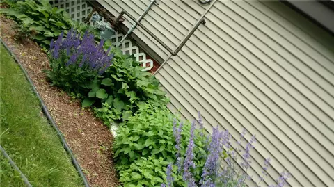 43 Surf Ave, Warwick, RI 02889 photo 10