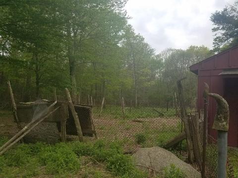 2 Walker Rd, Foster, RI 02825 photo 12