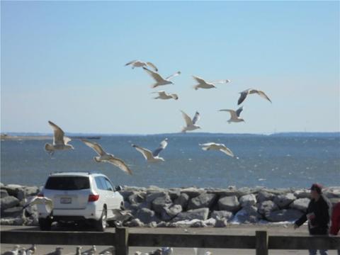 64 Uncas St, Warwick, RI 02889 photo 19