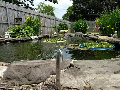 196 Palace Ave, Warwick, RI 02886 photo 29