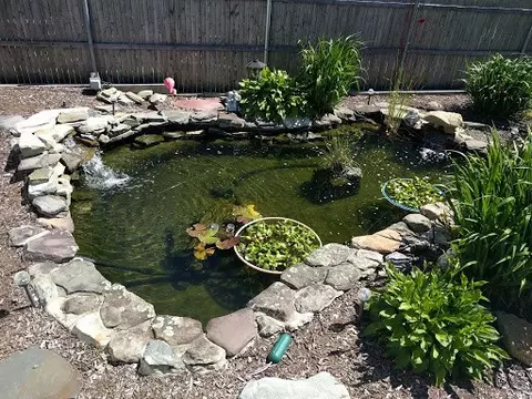 196 Palace Ave, Warwick, RI 02886 photo 30