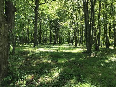 34 E Main Rd, Little Compton, RI 02837 photo 24