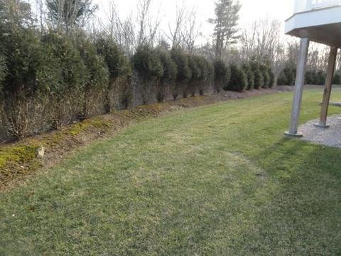 50 Whispering Pine Way, Exeter, RI 02822 photo 5