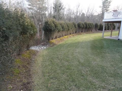 50 Whispering Pine Way, Exeter, RI 02822 photo 4