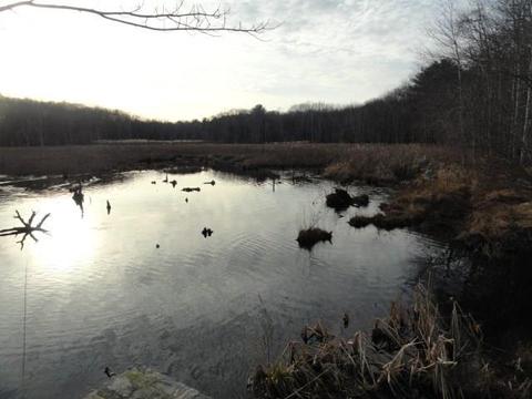 50 Whispering Pine Way, Exeter, RI 02822 photo 9