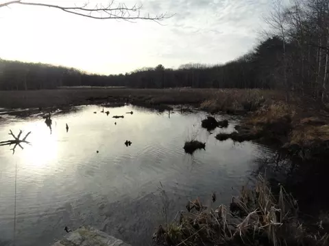 50 Whispering Pine Way, Exeter, RI 02822 photo 9