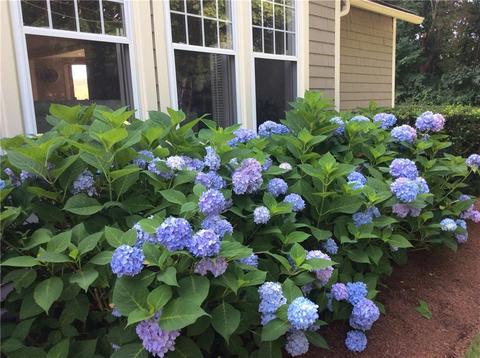 8 Summit Dr, Warren, RI 02885 photo 35