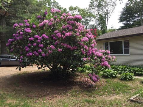 97 Black Plain Rd, Exeter, RI 02822 photo 4