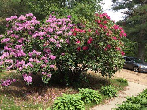 97 Black Plain Rd, Exeter, RI 02822 photo 5
