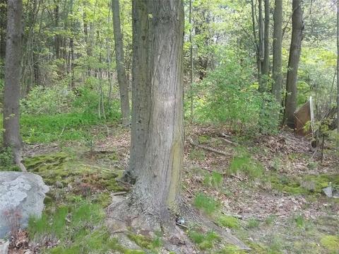 1776 Mendon Rd, Woonsocket, RI 02895 photo 10