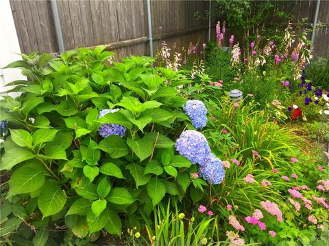 33 Myrtle Ave, Warwick, RI 02886 photo 20
