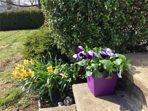 33 Myrtle Ave, Warwick, RI 02886 photo 3
