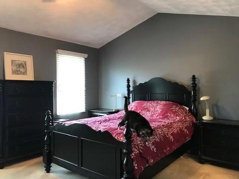 49 Peacock Rd, Warwick, RI 02886 photo 15