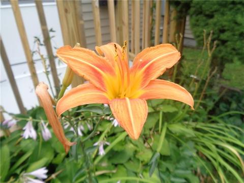 30 Parade Rd, Warwick, RI 02886 photo 24