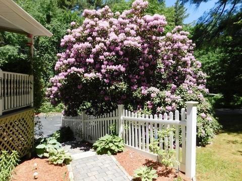 13 Durfee Hill Rd, Glocester, RI 02814 photo 24