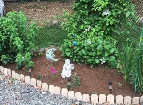 7 Daniel Dr, Coventry, RI 02816 photo 32