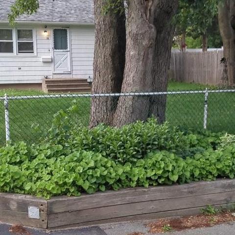 18 Ernest St, Coventry, RI 02816 photo 15