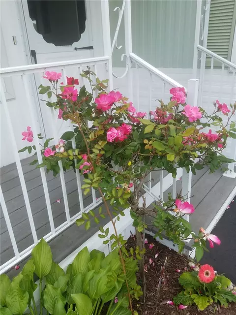 4 Lane D Ln, Coventry, RI 02816 photo 2