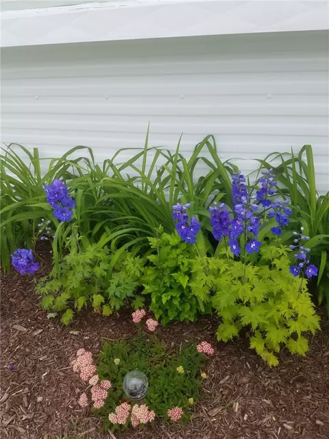4 Lane D Ln, Coventry, RI 02816 photo 5