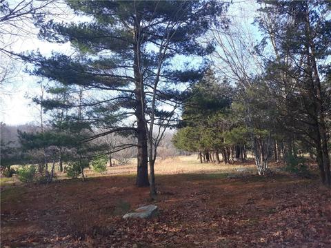 1460 Maple Valley Rd, Coventry, RI 02827 photo 2
