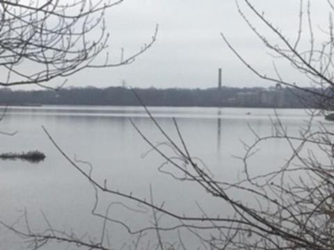 1030 Dwelly St, Fall River, MA 02724 photo 4