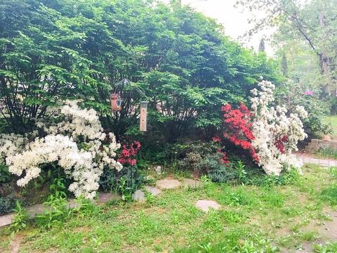 62 Terrace Dr, Glocester, RI 02814 photo 35