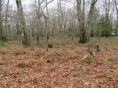 65 New Rd, Exeter, RI 02822 photo 2