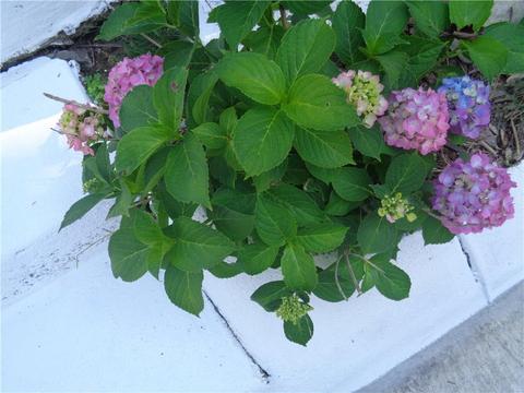 93 Mayfair Rd, Warwick, RI 02888 photo 29