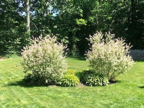 23 Hickory Rd, Coventry, RI 02816 photo 12