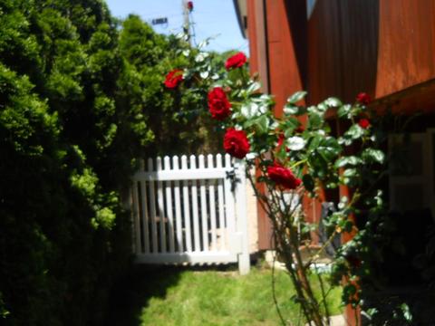 34 Brinton Ave, Warwick, RI 02889 photo 8