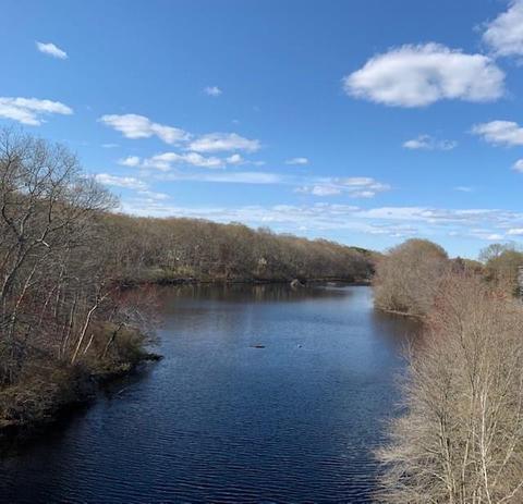74 Mill Pond Rd, Exeter, RI 02822 photo 43