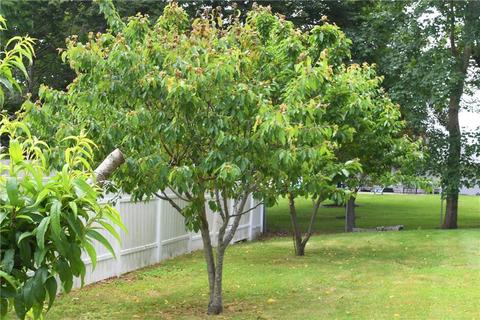 2 Cone St, Westerly, RI 02891 photo 8