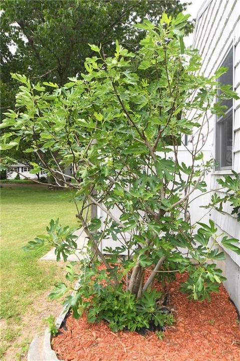 2 Cone St, Westerly, RI 02891 photo 35