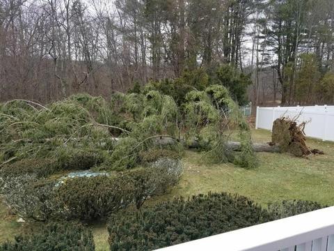 286 Lucille St, Woonsocket, RI 02895 photo 49